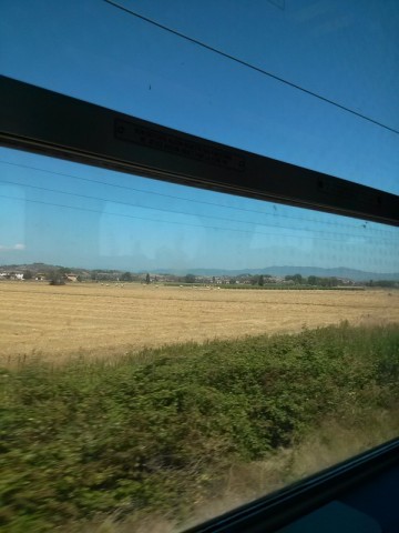 To Firenze